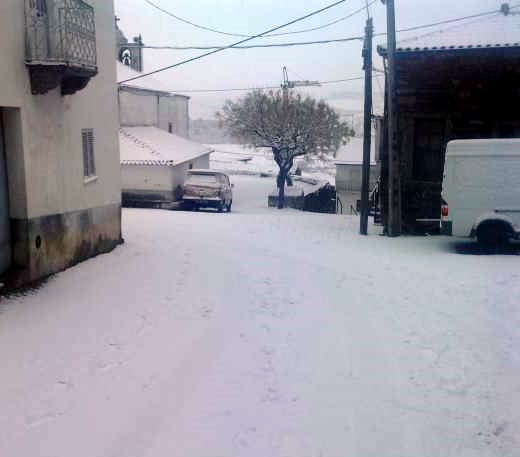 [P100110_14.440001.JPG]