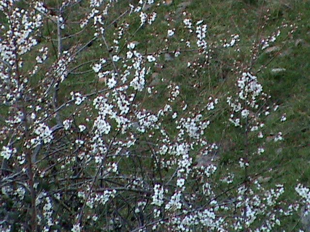 [DSC00235.JPG]