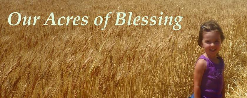 Our Acres of Blessings