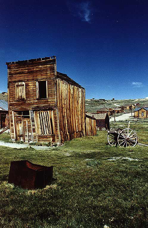 [bodie2.jpg]