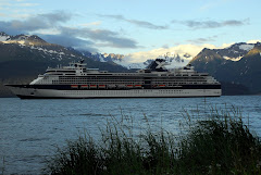 Cruise Ship Going Past Our Window