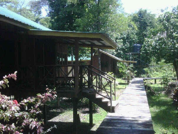 Kinabatangan