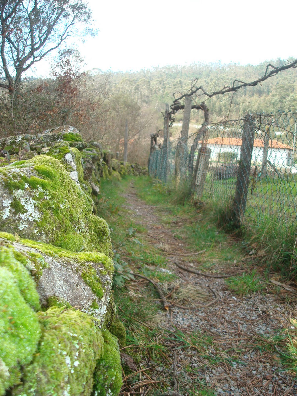 [DSC07399.JPG]