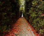 Narrow Path