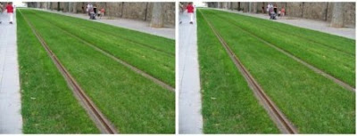 Grass Track Opitcal Illusion
