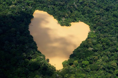 Heart Optical Illusions