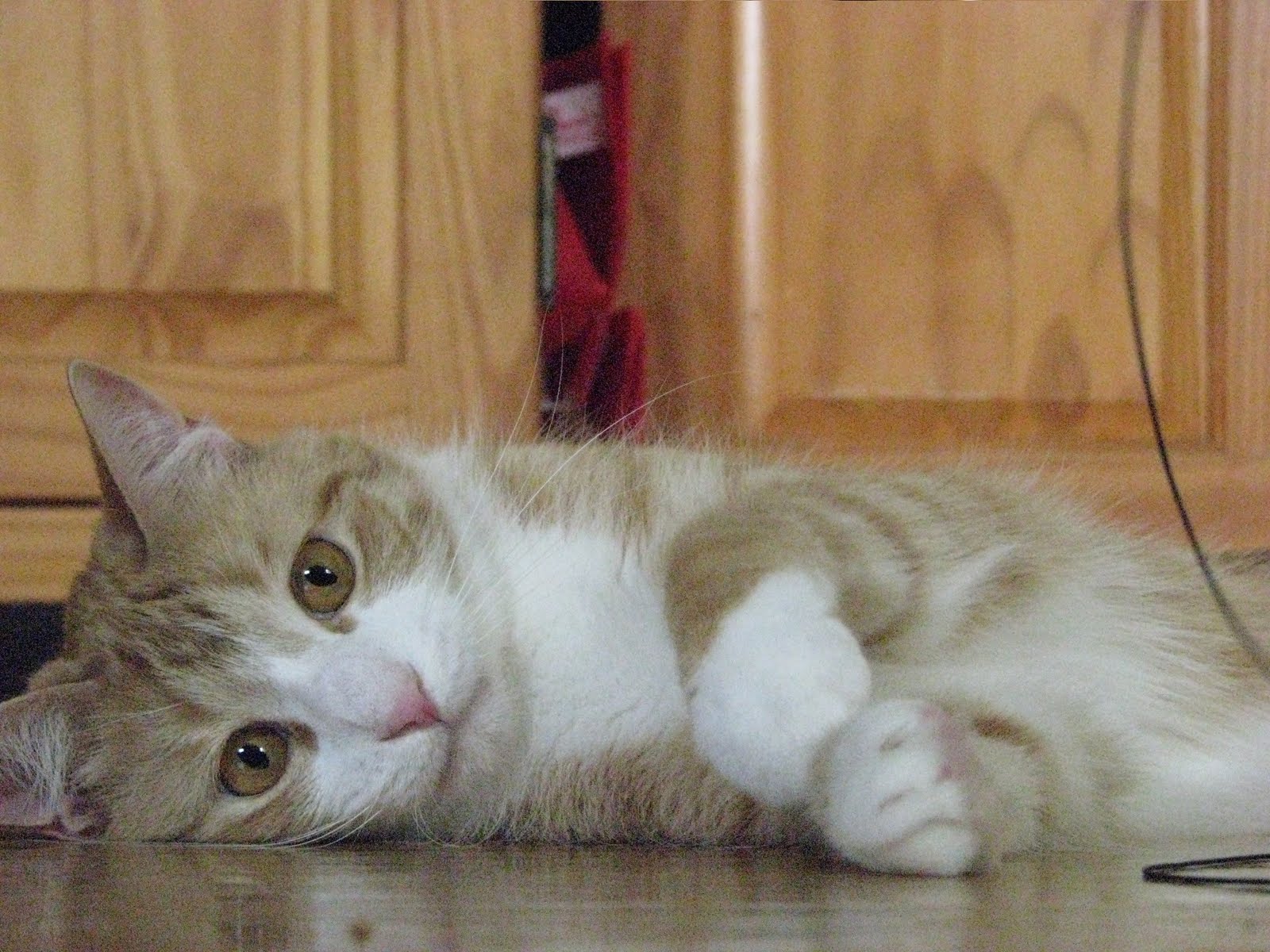 ceiling falling down