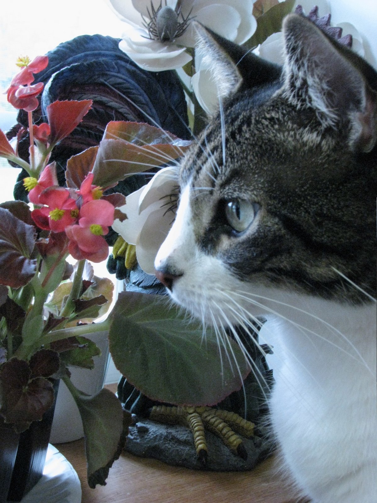 [IMG_3413.JPG]