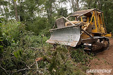 Exigí Al Gobierno los fondos para proteger los Bosques!!!