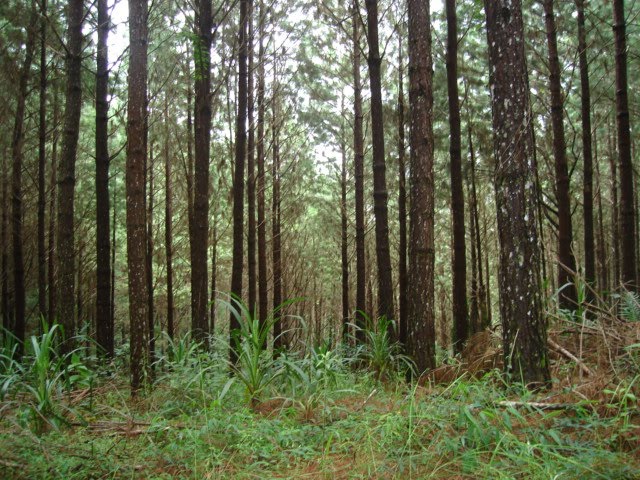 [DSC09255.JPG]