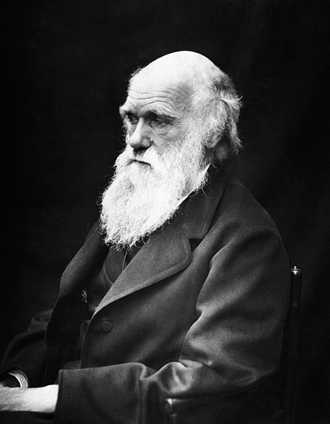 charlie darwin