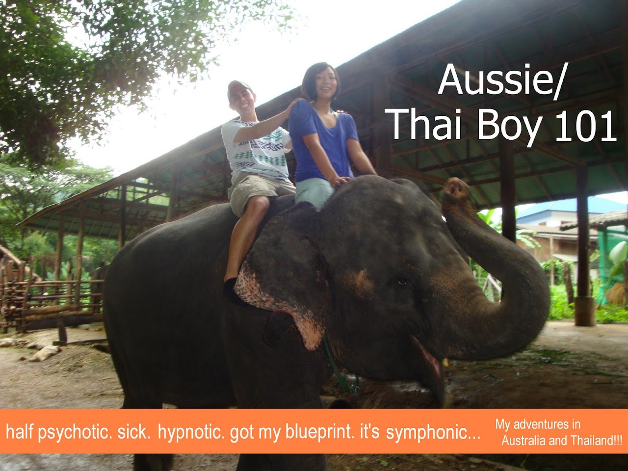 Aussie/Thai Boy 101