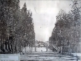 AV.GIRALDEZ  ANTIGUO