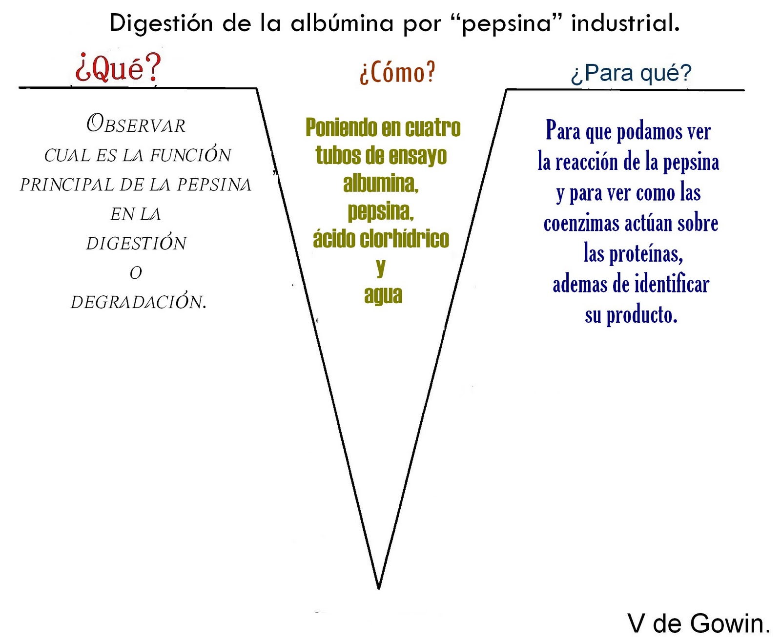 V De Gowin