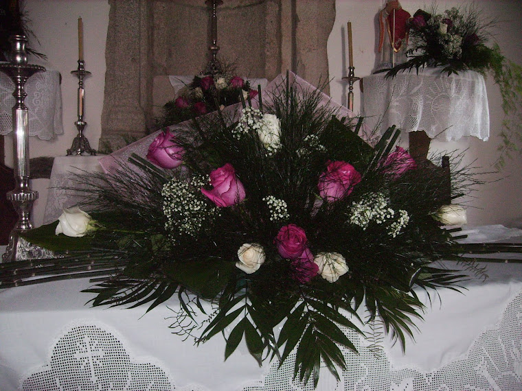 arranjo do altar da festa da Nossa Senhora do VISO 2010
