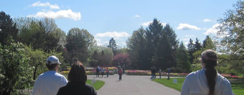 Minnesota Arboretum 5K