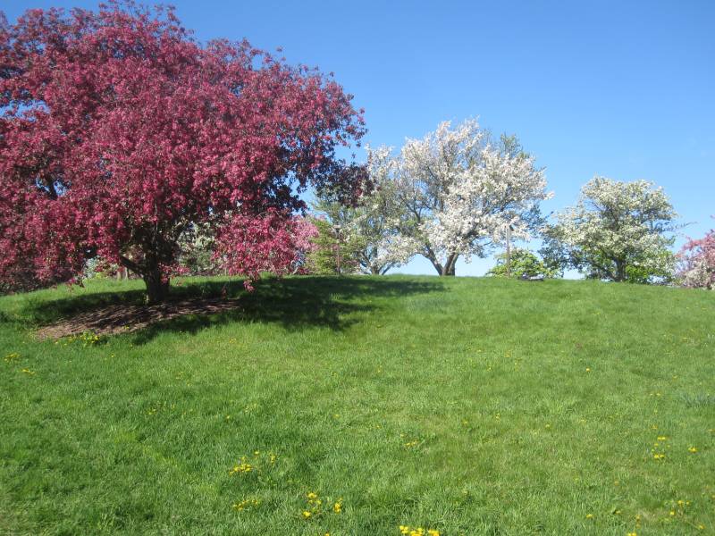 Minnesota Arboretum 5K