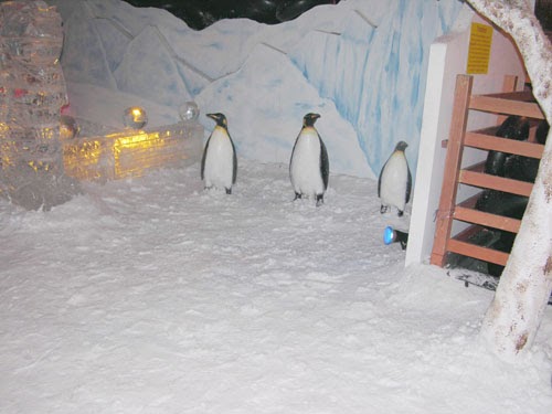 Download Iglo Orang Eskimo Pictures