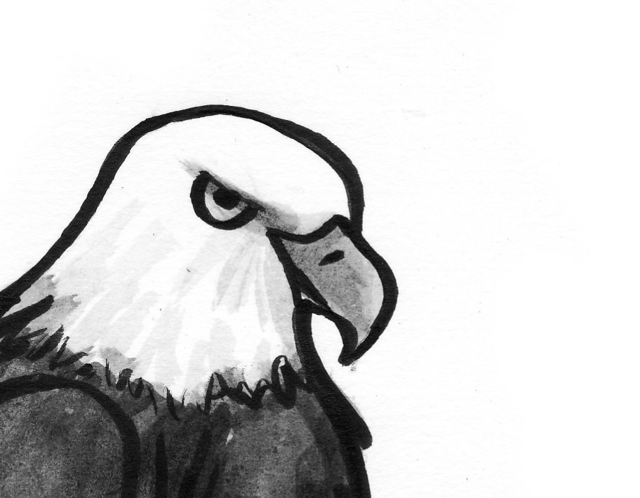 [eagle+crop.jpg]
