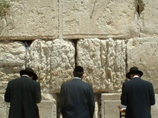 [Sin Piedras036.jpg]
