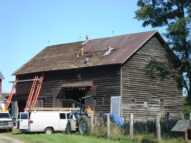 New Hay Barn Roof