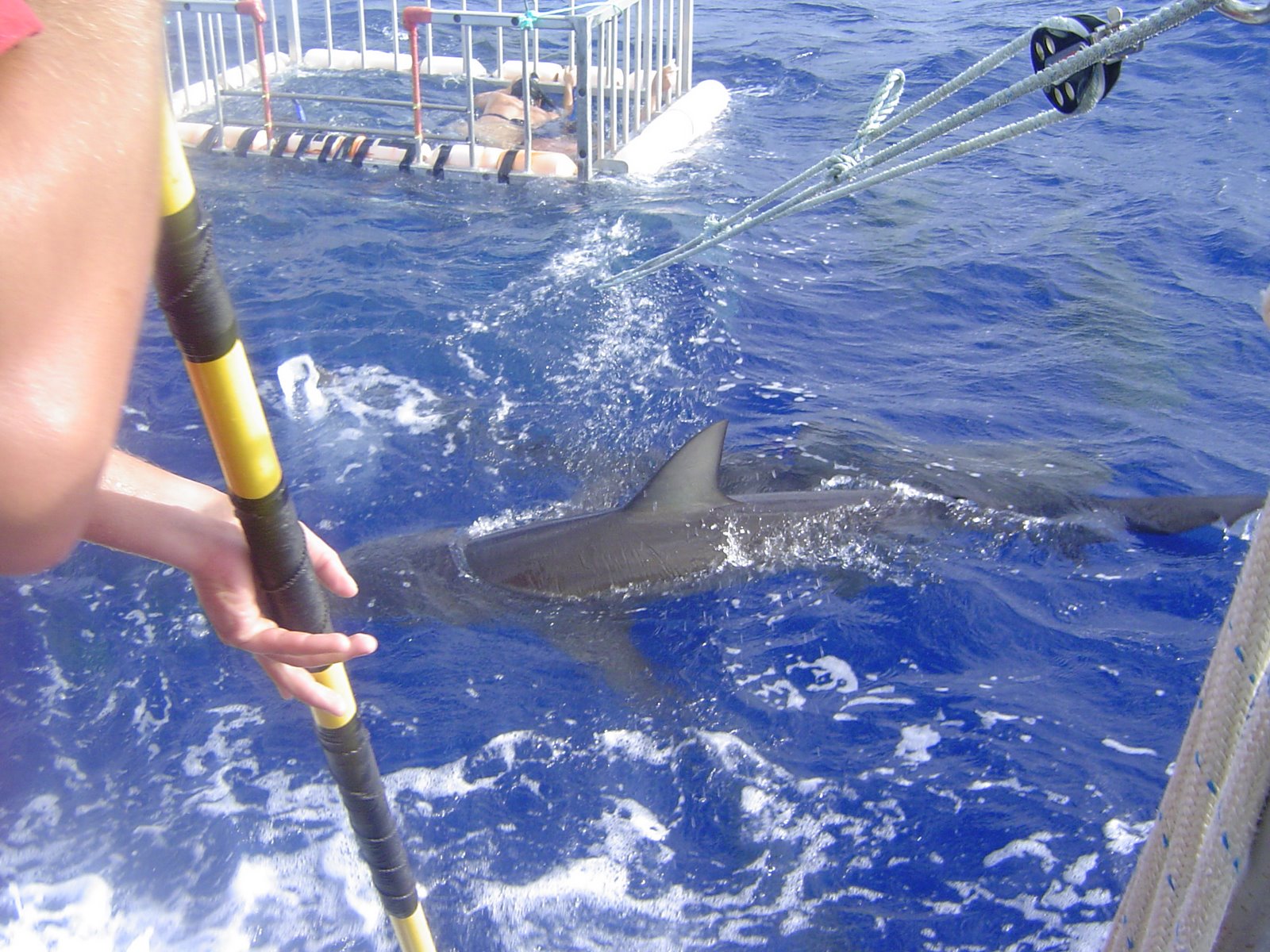 [Hawaii+2007+039.jpg]