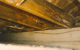 American Basement Solutions How To Fix And Repair Floor Joist Rot