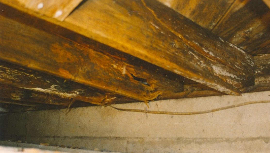 joist floor repair fix rot floors basement attic joists wood crawl space fixing flooring storage solutions reinforcing repairing slab loft