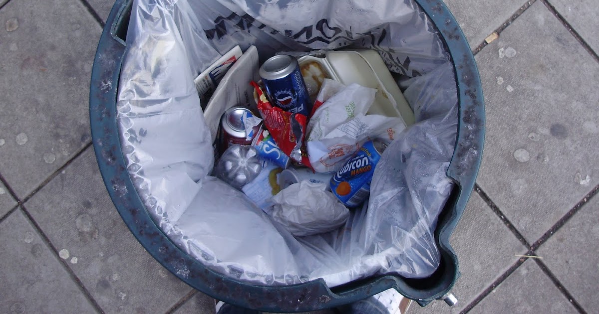 Nick Entwistle Stewie Griffin Bin