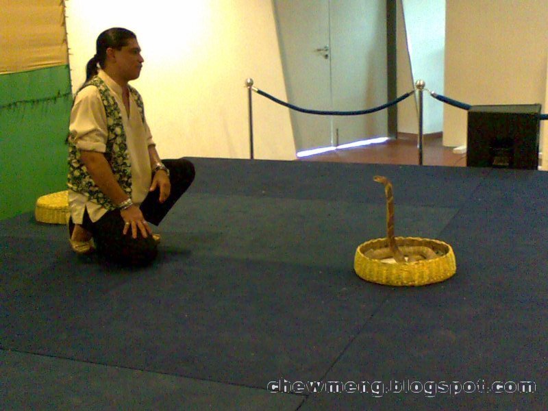 [lunapic_126070153898488_1.jpg]