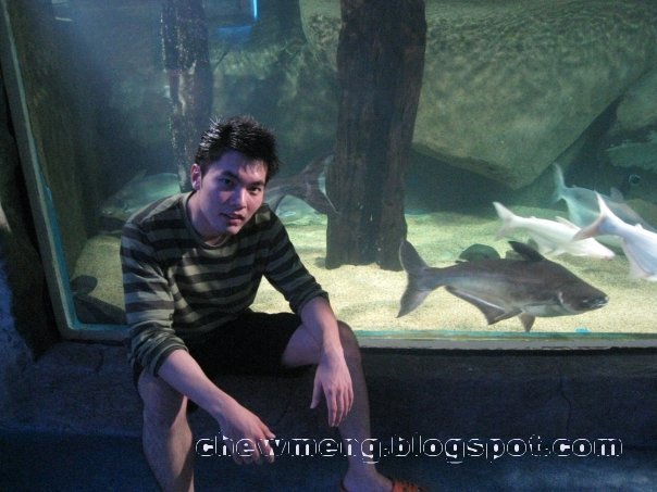 [lunapic_126070153898488_8.jpg]