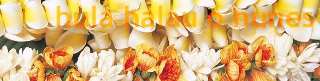 Hula Halau O Nunes