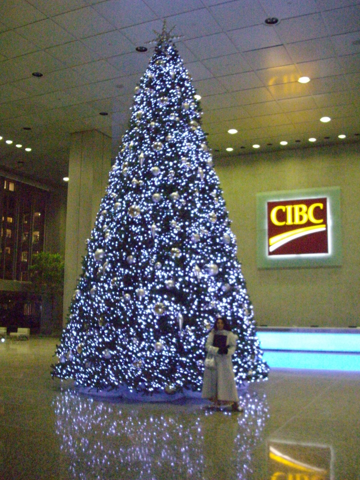 [IMGP0261.JPG]