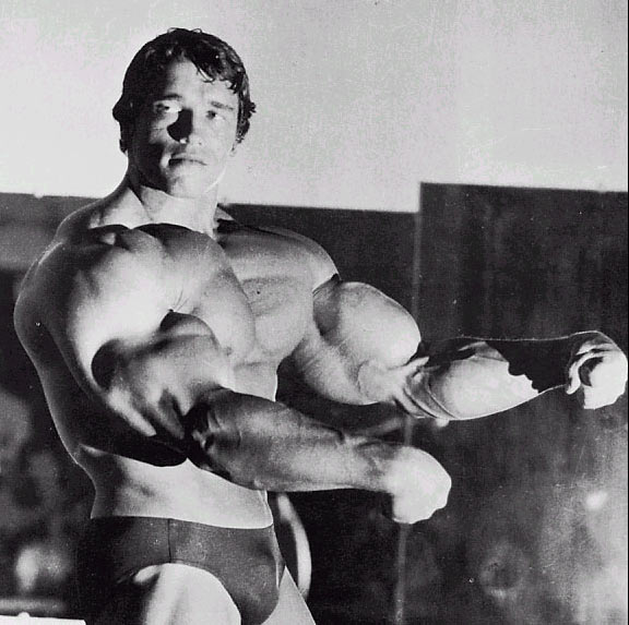 arnold schwarzenegger photos bodybuilding. arnold schwarzenegger photos