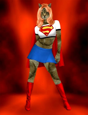 [Image: supercat.jpg]