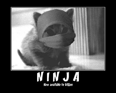 Unbelivable Knife Kill in MW2! Ninja+cat