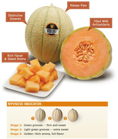 [melons.jpg]