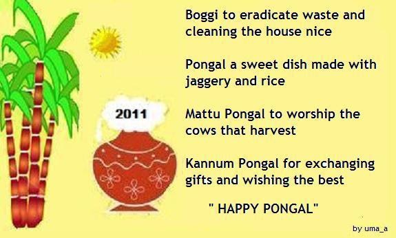 Pongal festival essay in hindi Pongal festival essay in hindi picture