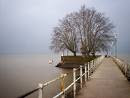 Rio de la Plata  ( Argentina)