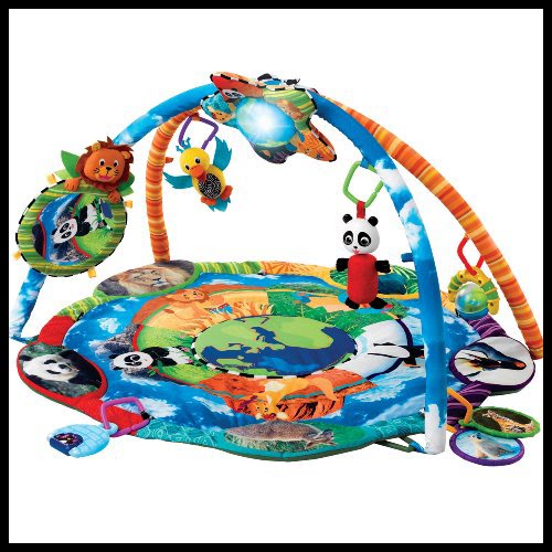 baby einstein around the world play gym