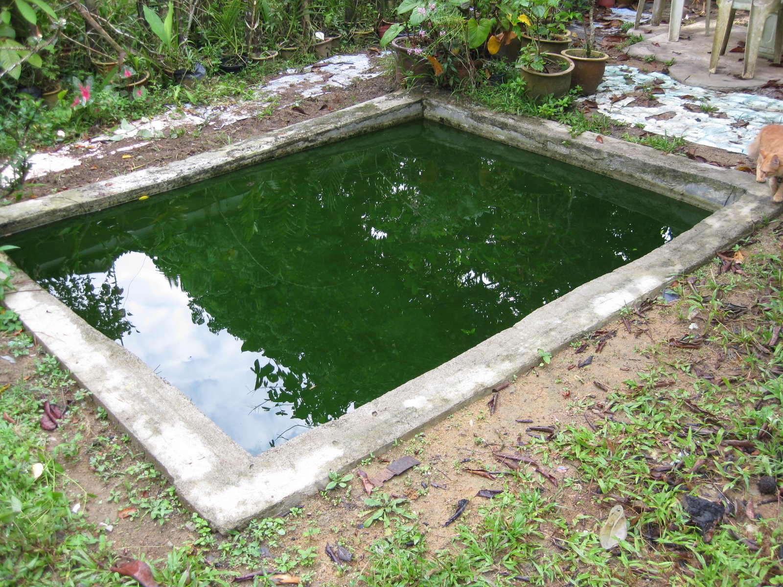 [current+pool+(2).JPG]