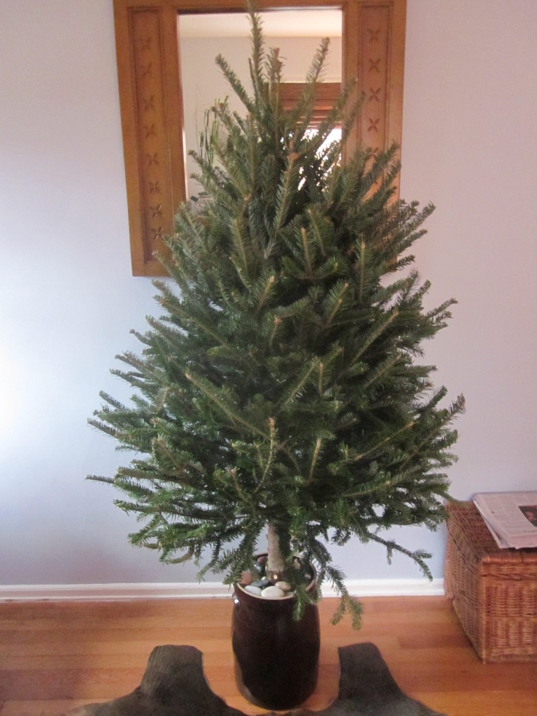 Smallbutcharming Rocking The Christmas Tree