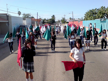 Desfile 20 nov 2009