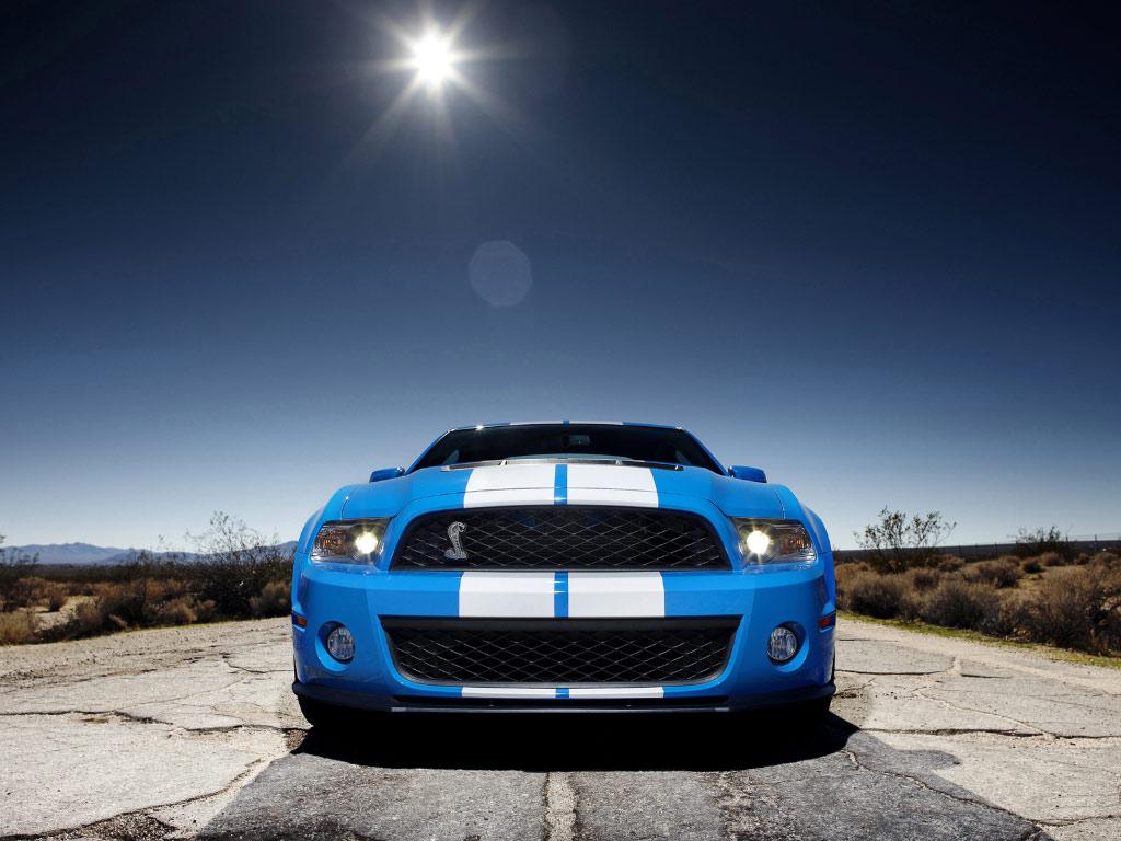 [Shelby+Mustang+GT500+[www.realcarwalls.blogspot.com]+(2).jpg]