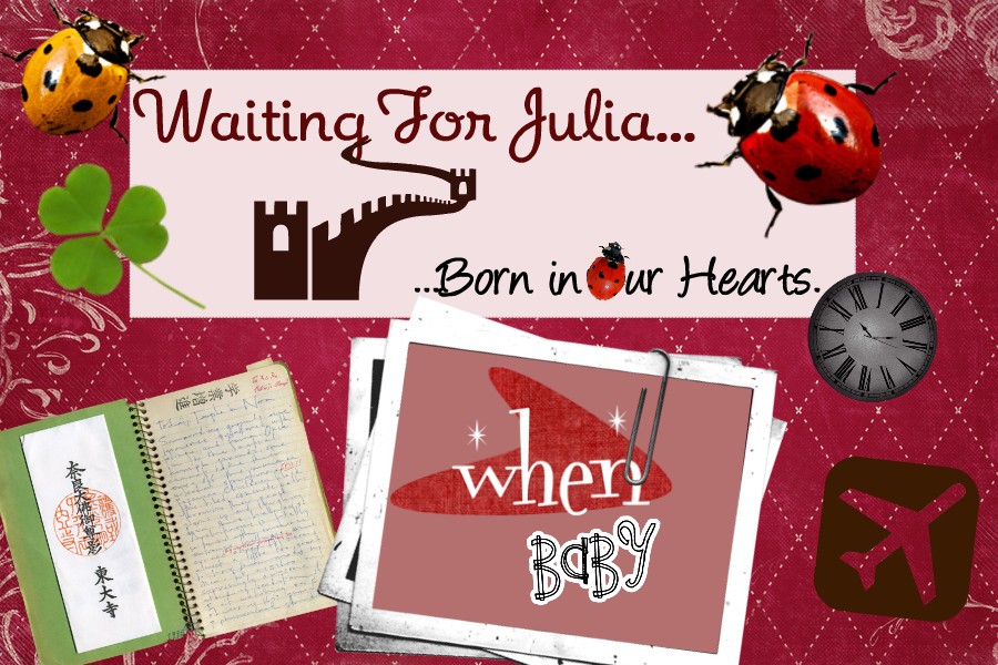 Waiting for Julia:  Born in our hearts