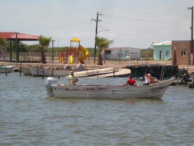 Paseos en Panga