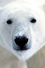 Polar.