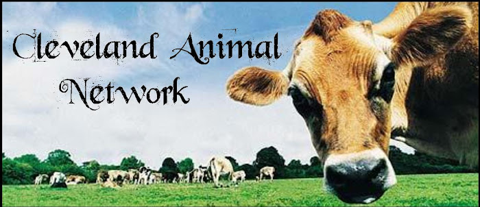 Cleveland Animal Network