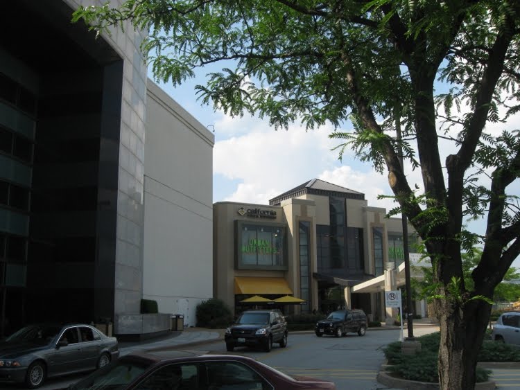 Totally Malls: St Louis Galleria