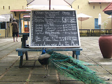 Peacock, Prison Island